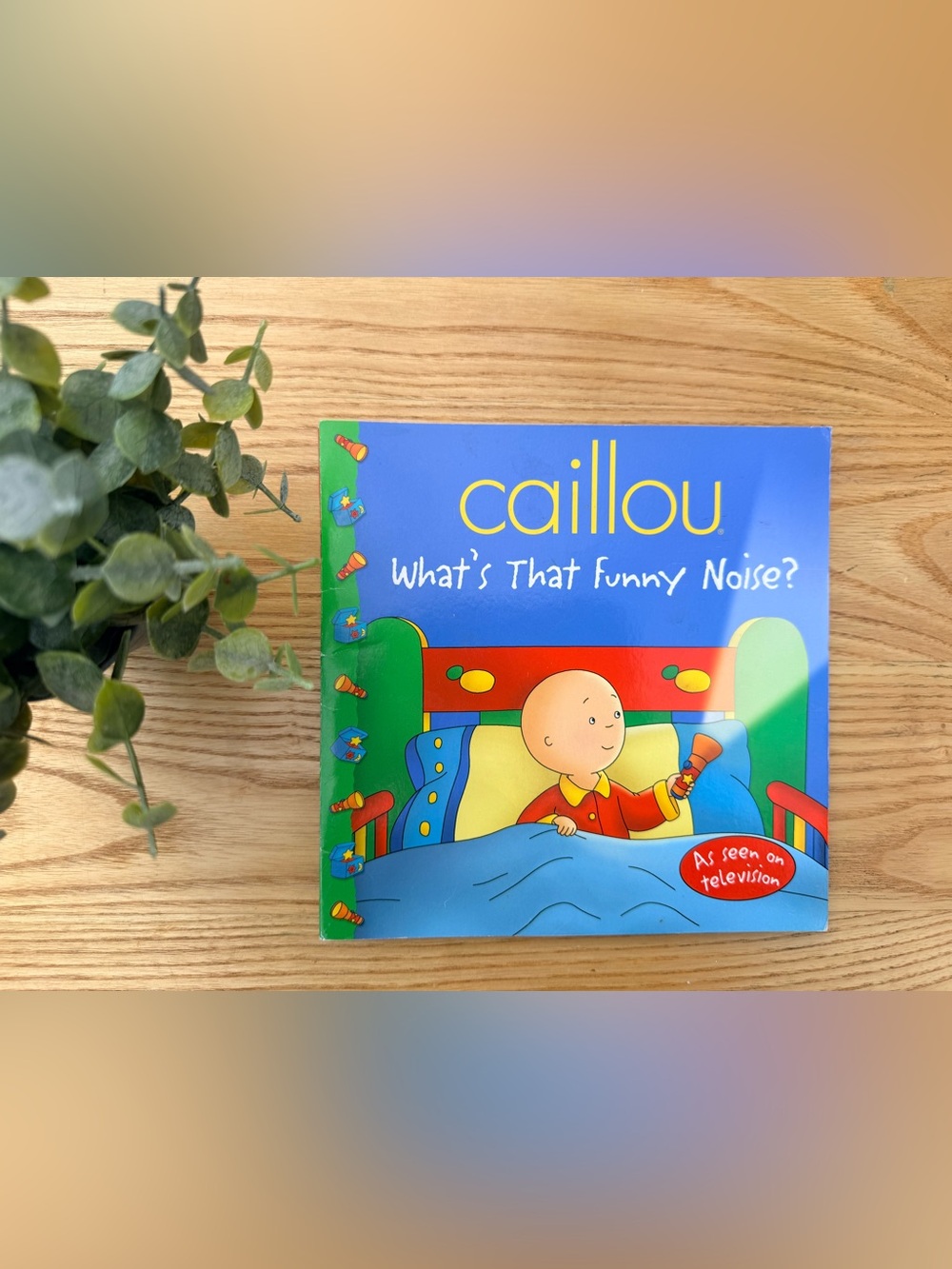 🌿10/$25 • Caillou What’s That Funny Noise? Paperback